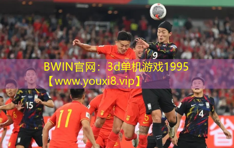 BWIN官网：3d单机游戏1995